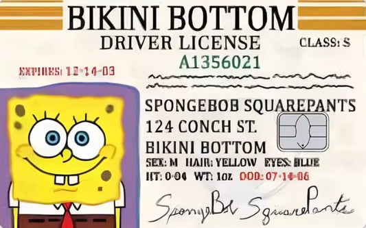 SpongeBob Bikini Bottom Driver's License Card Skin